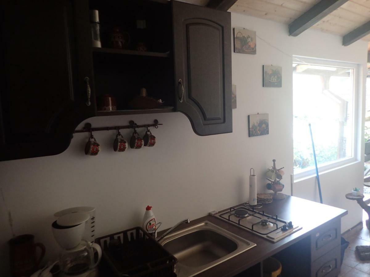 Casa De Oaspeti Dunarea La Cazane Dubova Luaran gambar